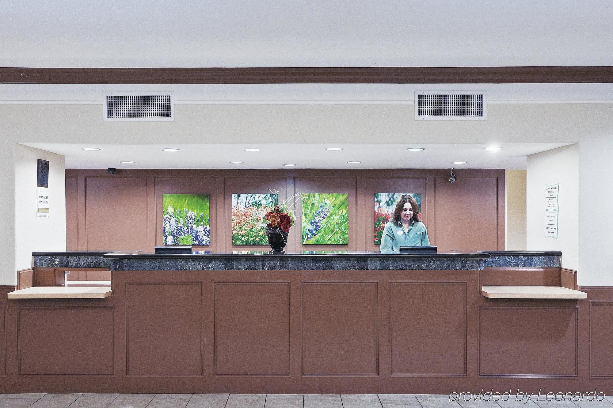 Palacio Royale Signature Katy